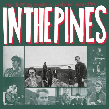 The Triffids -  In the Pines